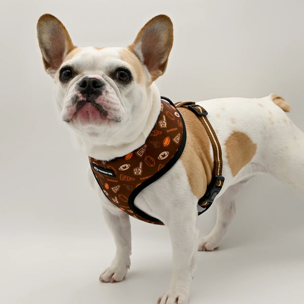 GameDay Home & Away Reversible Harness