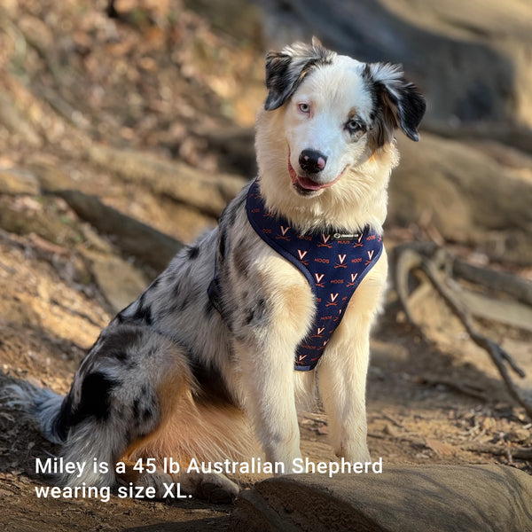 University of Virginia Home & Away Reversible Harness