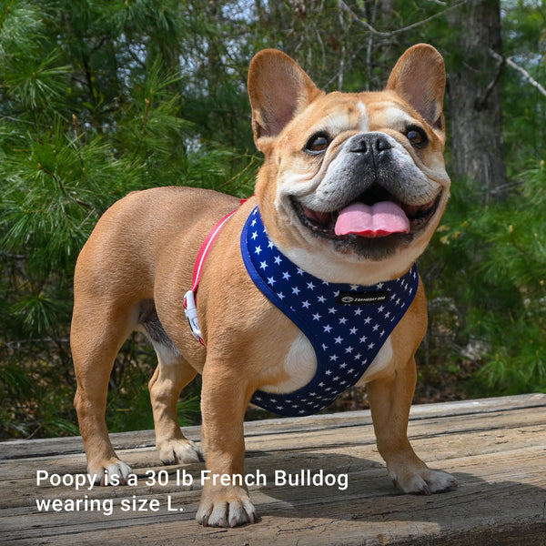USA Home & Away Reversible Harness