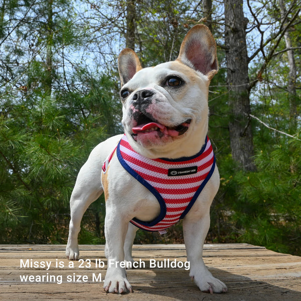 USA Home & Away Reversible Harness