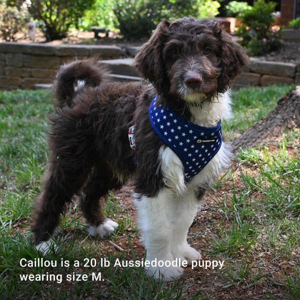 USA Home & Away Reversible Harness