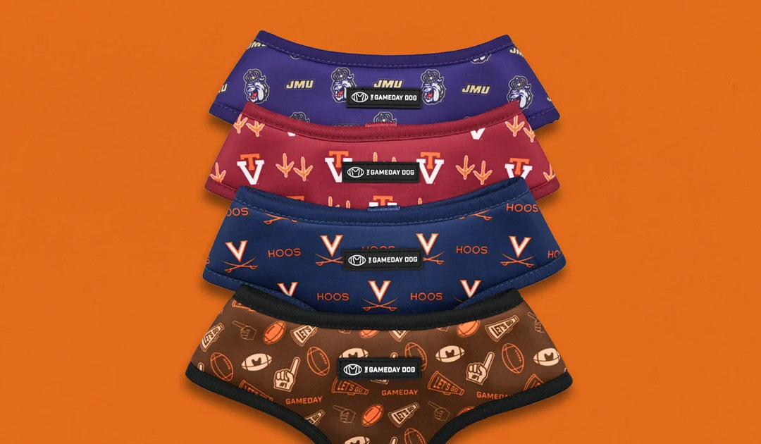 Home & Away Reversible Harness