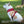 University of Alabama Home & Away Reversible Harness