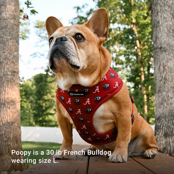 University of Alabama Home & Away Reversible Harness