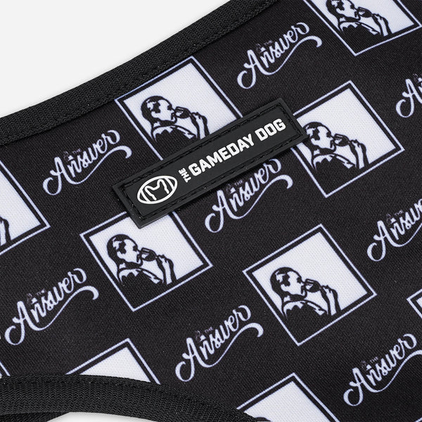 Answer & Mekong Home & Away Reversible Harness