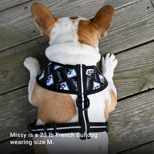 Answer & Mekong Home & Away Reversible Harness