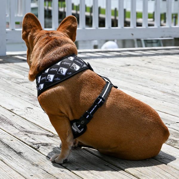 Answer & Mekong Home & Away Reversible Harness