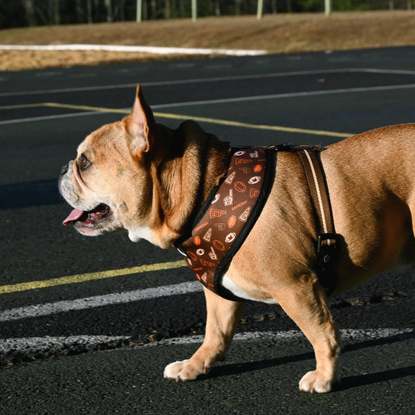 GameDay Home & Away Reversible Harness