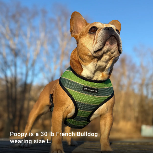 GameDay Home & Away Reversible Harness