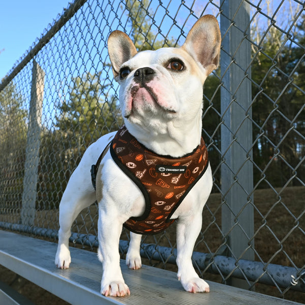 GameDay Home & Away Reversible Harness