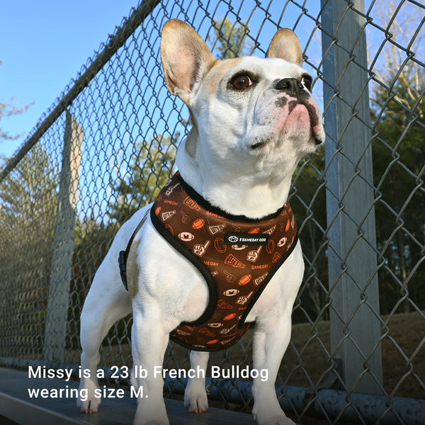 GameDay Home & Away Reversible Harness