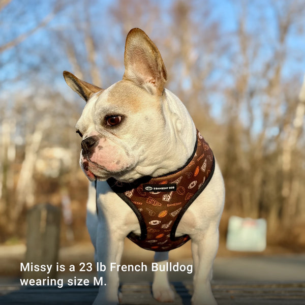 GameDay Home & Away Reversible Harness