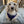 James Madison University Home & Away Reversible Harness