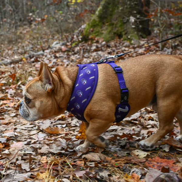 James Madison University Home & Away Reversible Harness