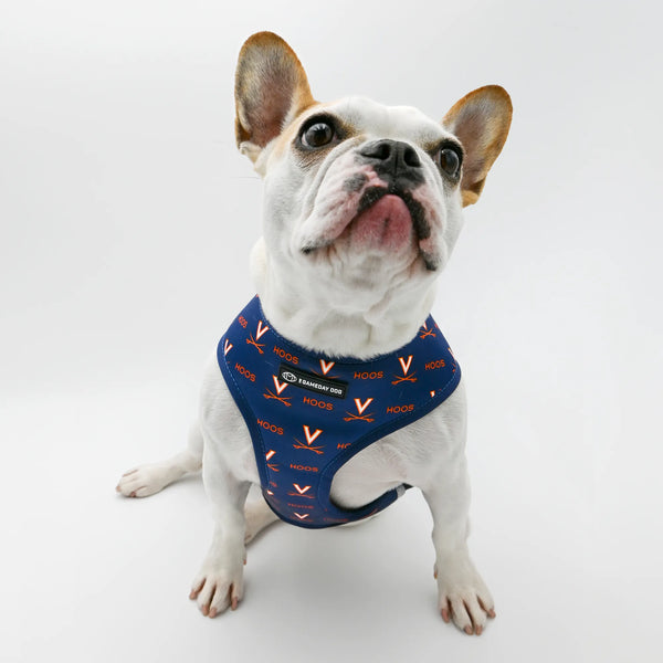 University of Virginia Home & Away Reversible Harness