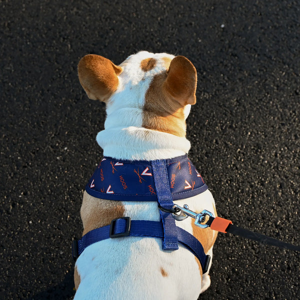 University of Virginia Home & Away Reversible Harness