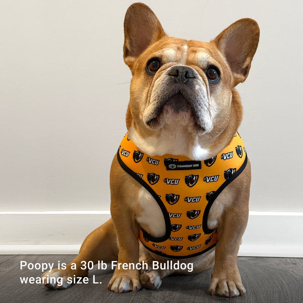 Virginia Commonwealth University Home & Away Reversible Harness