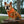 University of Tennessee Home & Away Reversible Harness