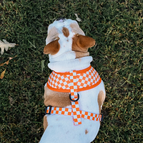 University of Tennessee Home & Away Reversible Harness