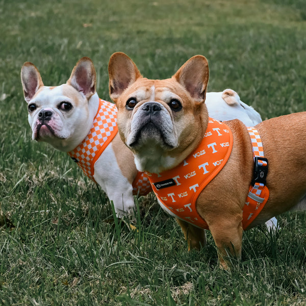 University of Tennessee Home & Away Reversible Harness