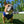 USA Home & Away Reversible Harness
