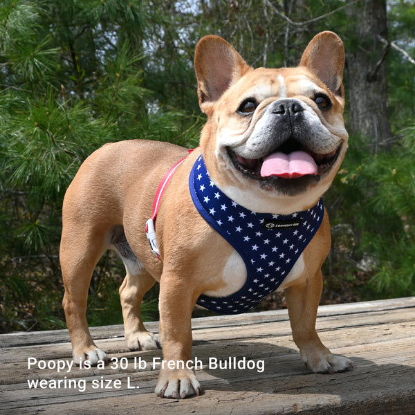 USA Home & Away Reversible Harness