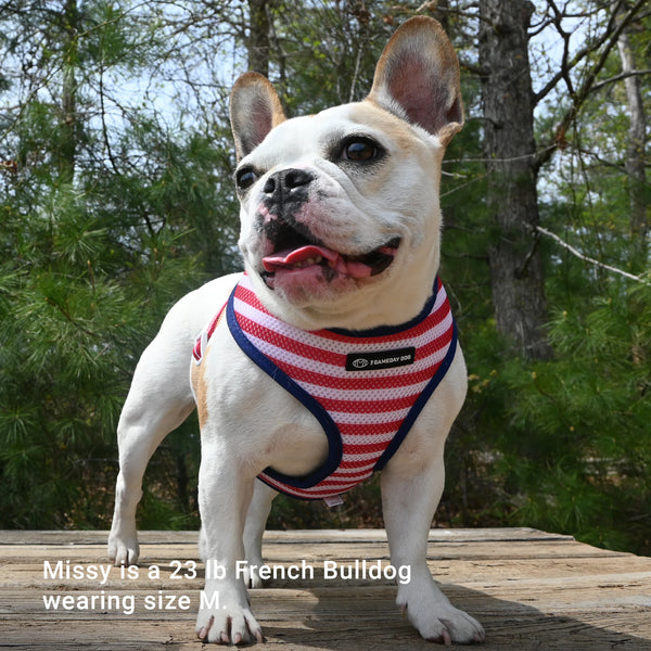 USA Home & Away Reversible Harness