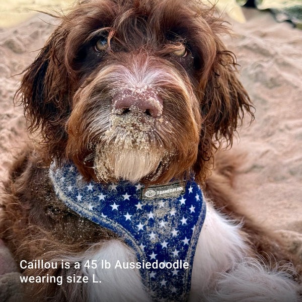 USA Home & Away Reversible Harness