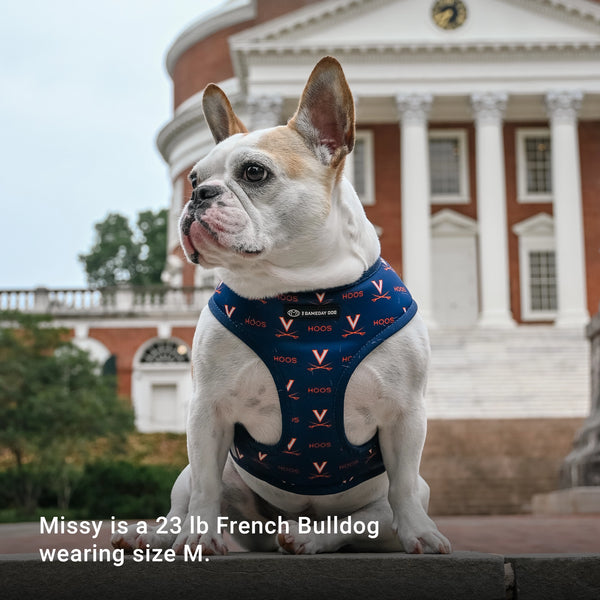 University of Virginia Home & Away Reversible Harness