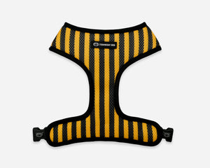 VCU Dog Harness Stripe
