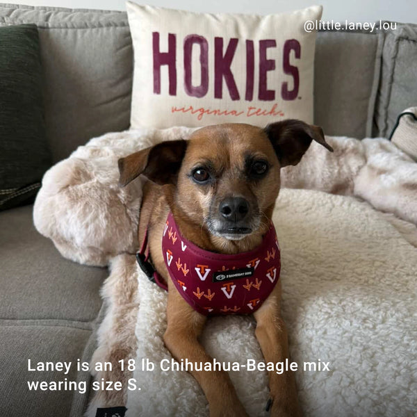 Virginia Tech Home & Away Reversible Harness